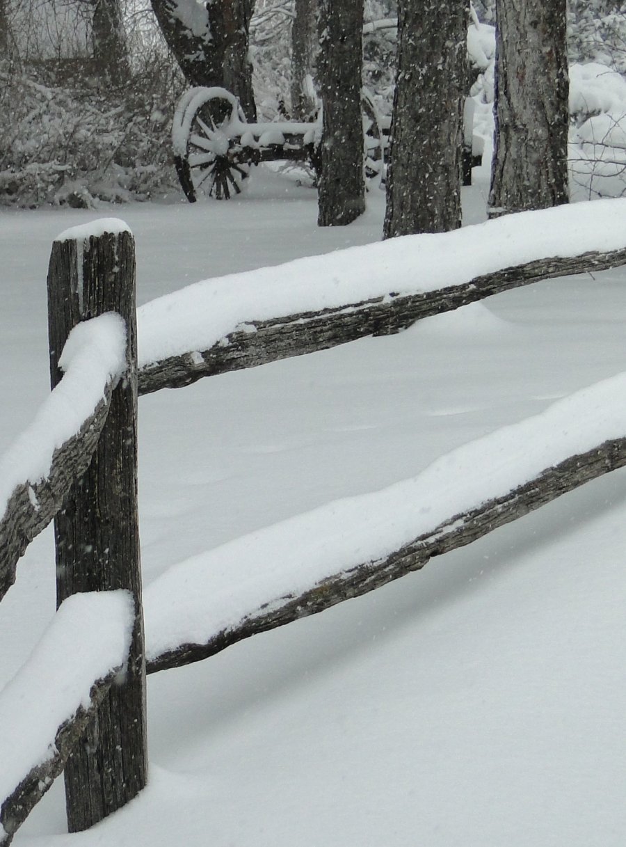 Snow and fence - 1