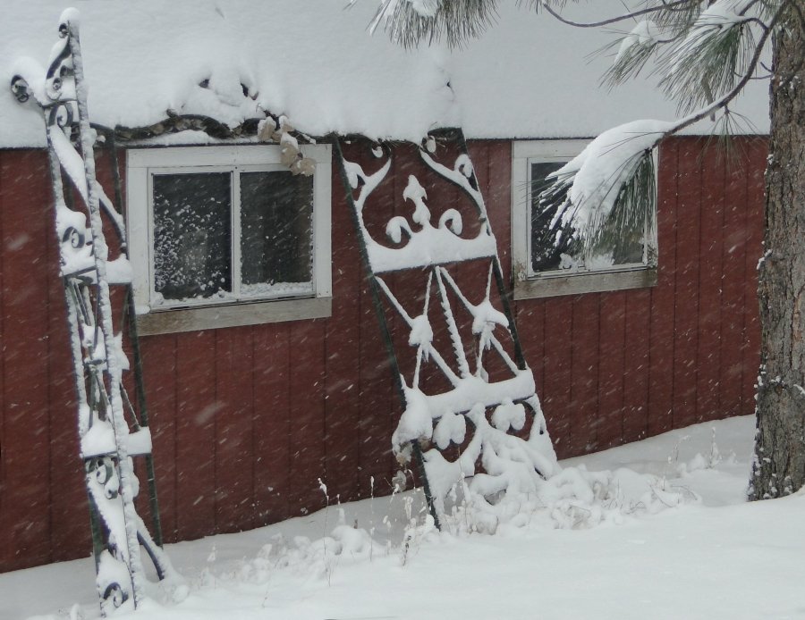 Snow and shed - 2