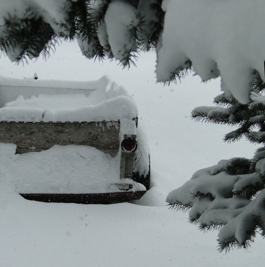 Snow and trailer