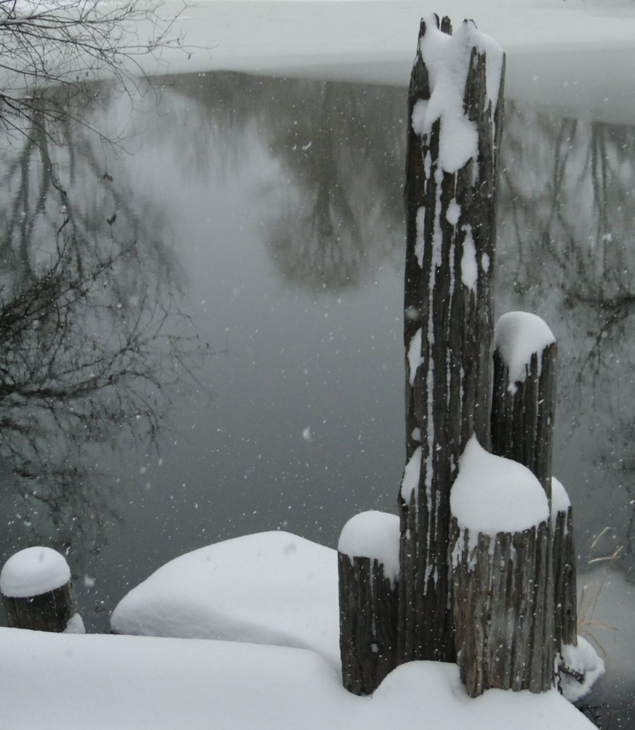 Snow and posts