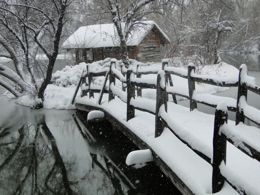 Snow and cabin