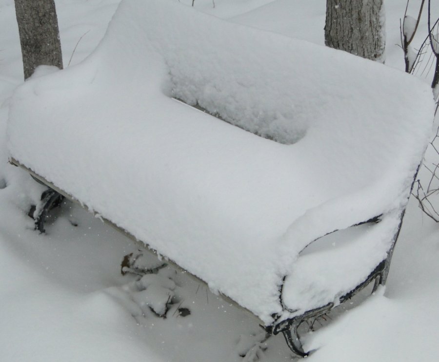 Snow and bench