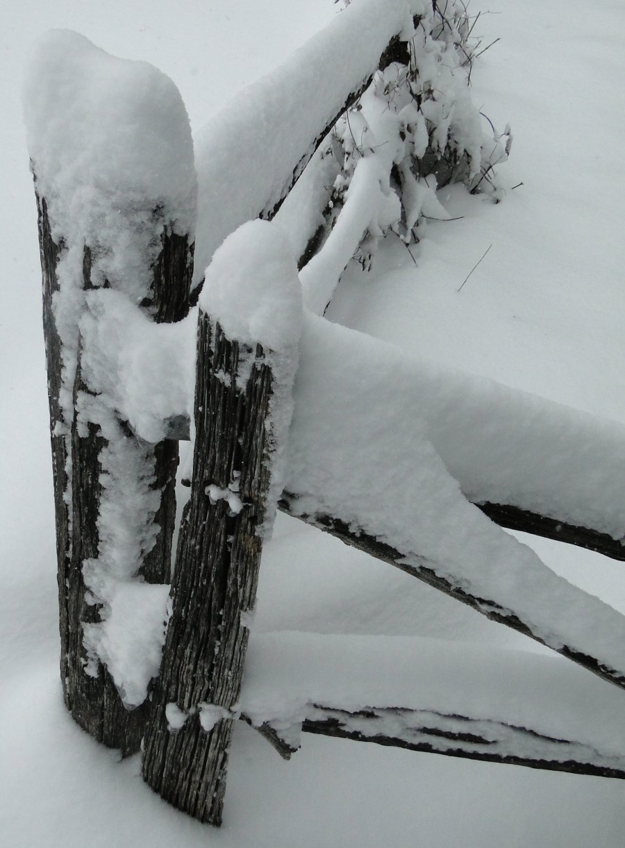 Snow and fence -